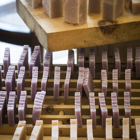 Çiftlik konaklama Borgo Volterra Tuscany