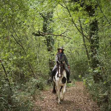 Borgo Volterra Tuscany Çiftlik konaklama *