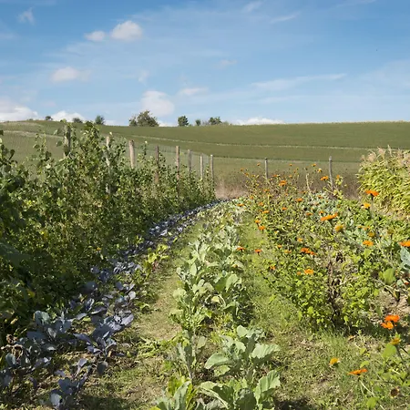 Borgo Volterra Tuscany *