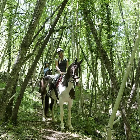 Borgo Tuscany Agroturismo *