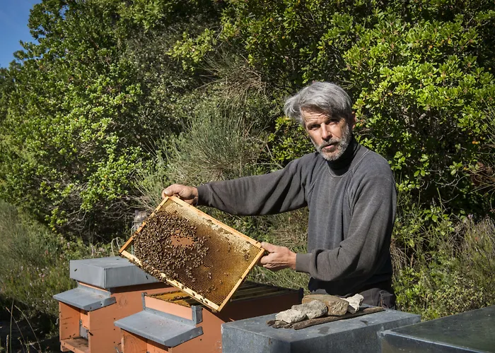 农家乐 Borgo Volterra Tuscany