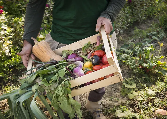 农家乐 Borgo Volterra Tuscany *