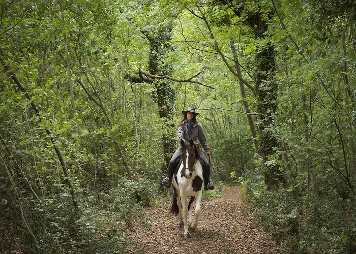 Borgo Volterra Tuscany 农家乐 *