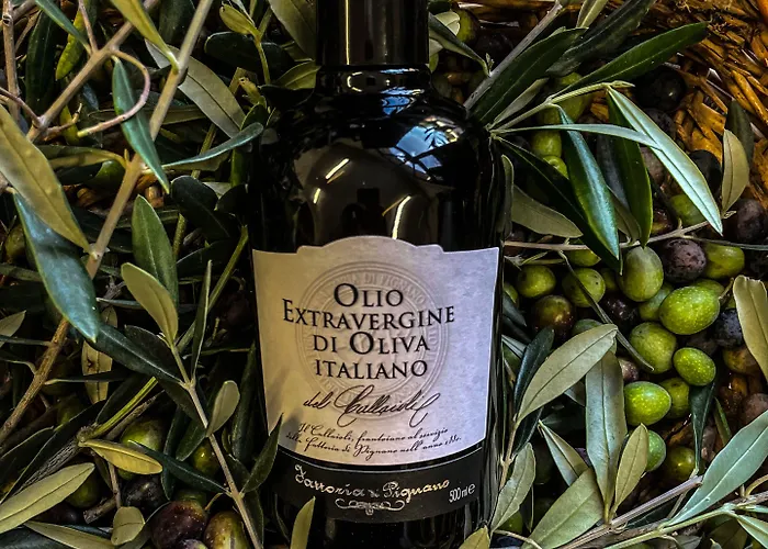 农家乐 Borgo Volterra Tuscany